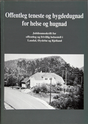 Offentleg teneste og bygdedugnad for helse og hugnad 2003